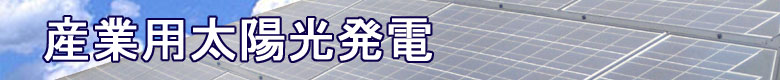 YƗpzd