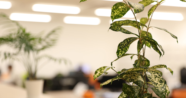 社内環境・制度